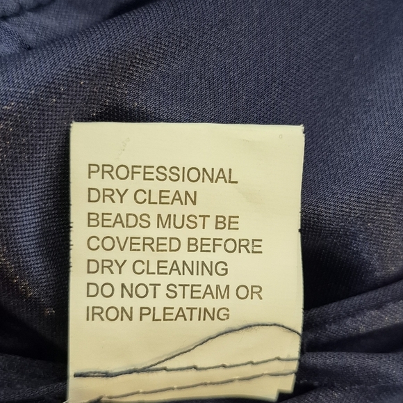 Patra Pleated Chiffon Formal Event Dress - Size 6 - Picture 15 of 16